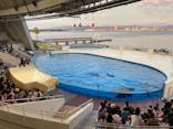 マリンワールド海の中道に投稿された画像（2021/7/17）