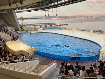 マリンワールド海の中道に投稿された画像（2021/7/17）