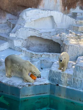 天王寺動物園に投稿された画像（2021/7/17）