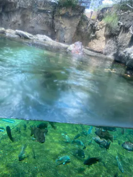 天王寺動物園に投稿された画像（2021/7/17）