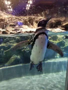 すみだ水族館に投稿された画像（2021/7/17）