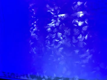 アクアワールド茨城県大洗水族館に投稿された画像（2021/7/17）