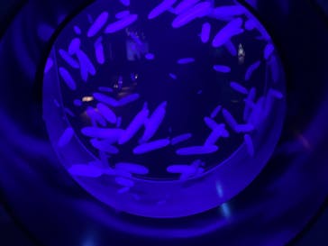 アクアワールド茨城県大洗水族館に投稿された画像（2021/7/17）