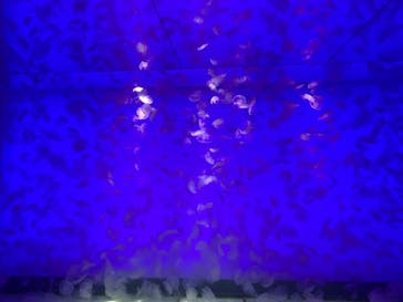 アクアワールド茨城県大洗水族館に投稿された画像（2021/7/17）