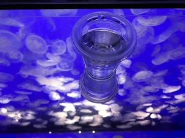 アクアワールド茨城県大洗水族館に投稿された画像（2021/7/17）