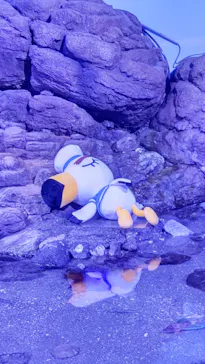 横浜・八景島シーパラダイスに投稿された画像（2021/7/17）