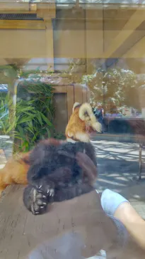 横浜・八景島シーパラダイスに投稿された画像（2021/7/17）