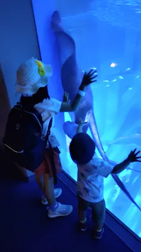 横浜・八景島シーパラダイスに投稿された画像（2021/7/17）