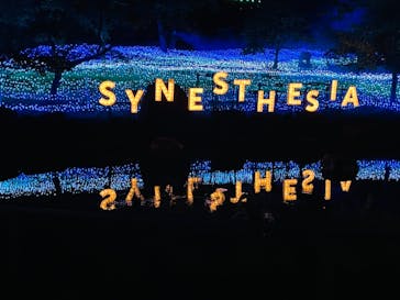KYOTO ILLUMINATION SYNESTHESIA HILLS るり渓温泉に投稿された画像（2021/7/17）