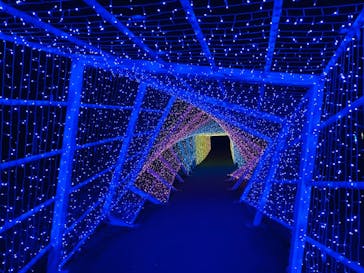 KYOTO ILLUMINATION SYNESTHESIA HILLS るり渓温泉に投稿された画像（2021/7/17）