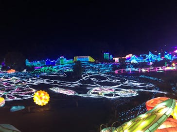 伊豆ぐらんぱる公園に投稿された画像（2021/7/17）