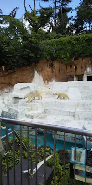 天王寺動物園に投稿された画像（2021/7/17）