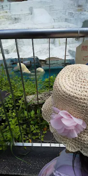 天王寺動物園に投稿された画像（2021/7/17）