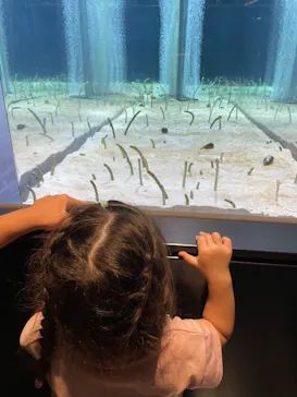 すみだ水族館に投稿された画像（2021/7/17）