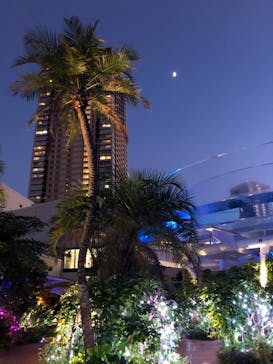 サンシャイン水族館に投稿された画像（2021/7/17）