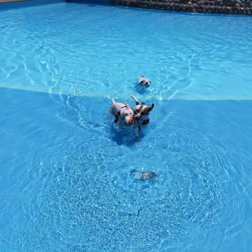 わんダフルネイチャーヴィレッジに投稿された画像（2021/7/17）