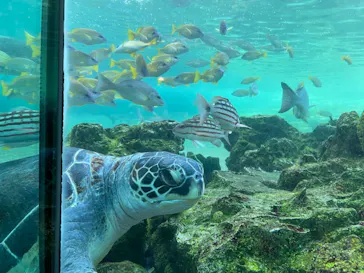 横浜・八景島シーパラダイスに投稿された画像（2021/7/18）