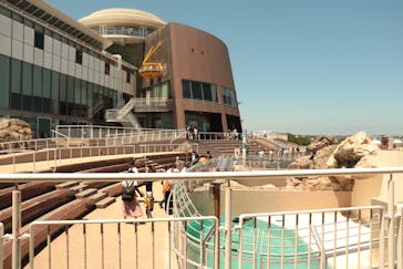 アクアワールド茨城県大洗水族館に投稿された画像（2021/7/18）