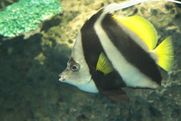 アクアワールド茨城県大洗水族館に投稿された画像（2021/7/18）