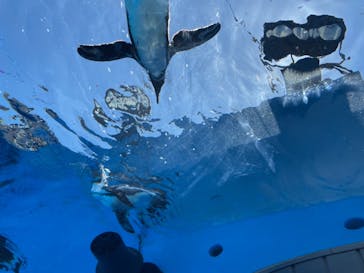 サンシャイン水族館に投稿された画像（2021/7/18）