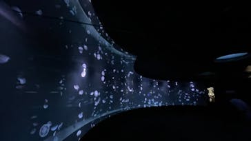 サンシャイン水族館に投稿された画像（2021/7/18）