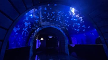 サンシャイン水族館に投稿された画像（2021/7/18）