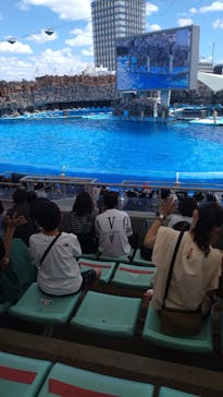 名古屋港水族館に投稿された画像（2021/7/18）