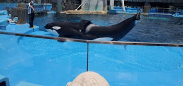 名古屋港水族館に投稿された画像（2021/7/18）