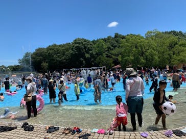 国営昭和記念公園 秋の夜散歩に投稿された画像（2021/7/18）