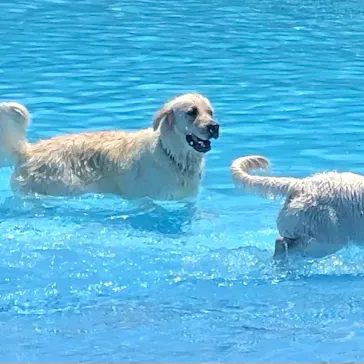 わんダフルネイチャーヴィレッジに投稿された画像（2021/7/18）