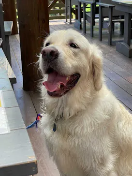 わんダフルネイチャーヴィレッジに投稿された画像（2021/7/18）