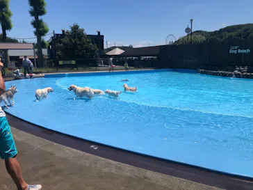 わんダフルネイチャーヴィレッジに投稿された画像（2021/7/18）