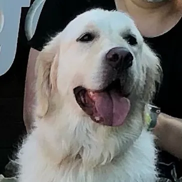 わんダフルネイチャーヴィレッジに投稿された画像（2021/7/18）