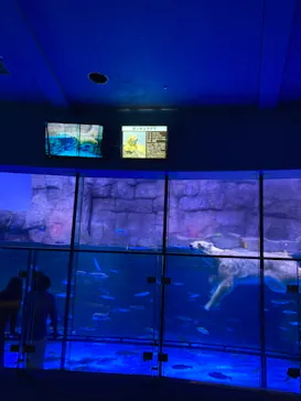 横浜・八景島シーパラダイスに投稿された画像（2021/7/18）