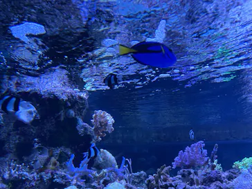 すみだ水族館に投稿された画像（2021/7/18）