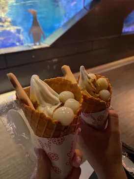 すみだ水族館に投稿された画像（2021/7/18）