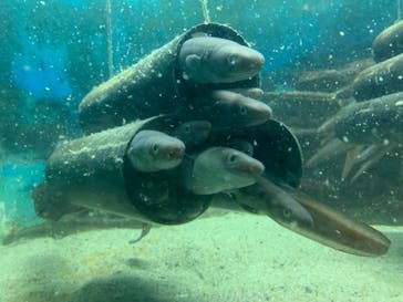 株式会社Gに投稿された画像（2021/7/18）