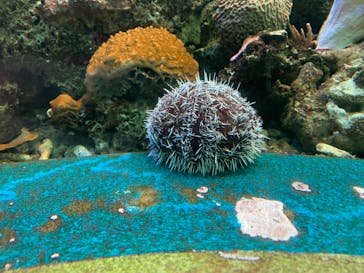 株式会社Gに投稿された画像（2021/7/18）