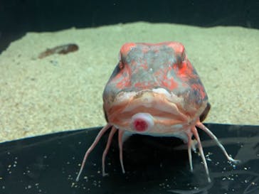 株式会社Gに投稿された画像（2021/7/18）