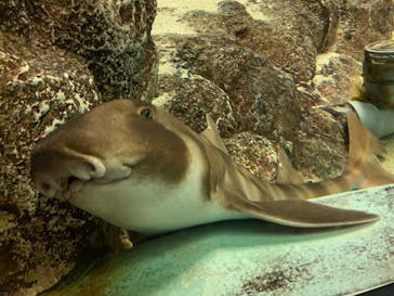 株式会社Gに投稿された画像（2021/7/18）