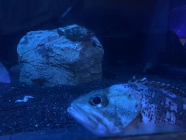 株式会社Gに投稿された画像（2021/7/18）