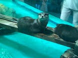 しながわ水族館に投稿された画像（2021/7/18）