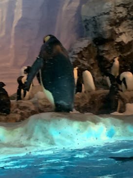 名古屋港水族館に投稿された画像（2021/7/18）