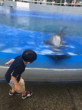大分マリーンパレス水族館 「うみたまご」に投稿された画像（2021/7/18）