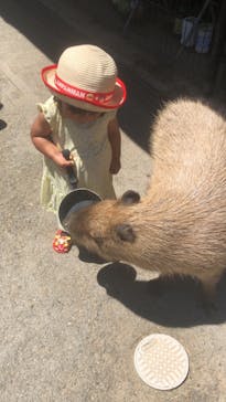 那須どうぶつ王国に投稿された画像（2021/7/18）