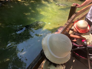 那須どうぶつ王国に投稿された画像（2021/7/18）