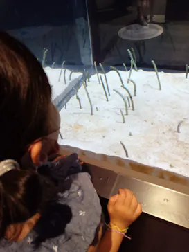 すみだ水族館に投稿された画像（2021/7/18）