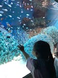 サンシャイン水族館に投稿された画像（2021/7/18）