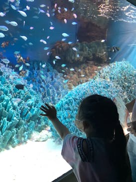 サンシャイン水族館に投稿された画像（2021/7/18）