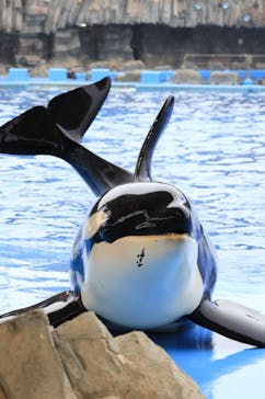 名古屋港水族館に投稿された画像（2021/7/18）